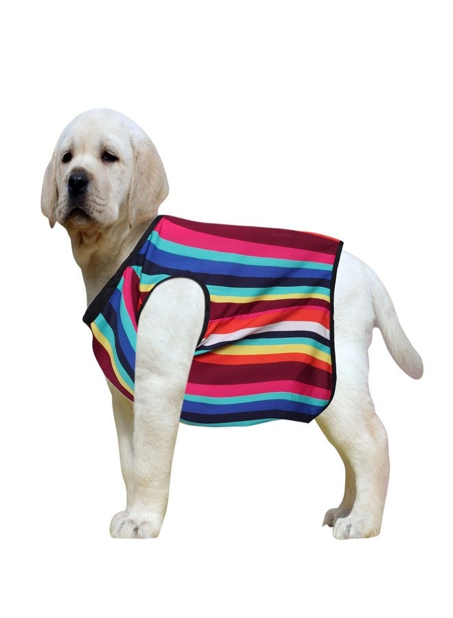 ويستيرن إرا تيشيرت قطني ناعم للكلاب بتصميم مستوحى من العصر الغربي | ملابس مريحة وجيدة التهوية للكلاب | طقم أنيق بدون أكمام للحيوانات الأليفة (مقاس متوسط - 18 بوصة، مخطط بألوان متعددة) - Image 1